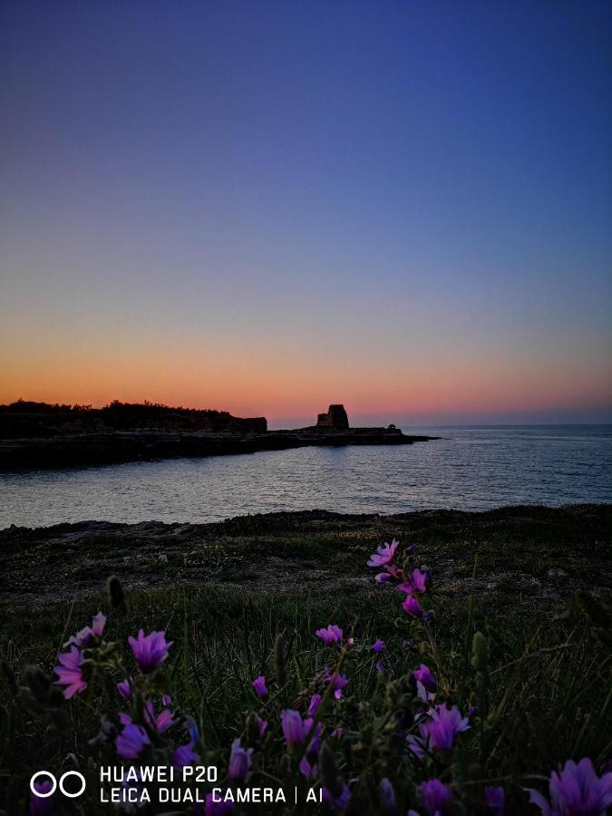 Bed and Breakfast Eccelsoleccese Exterior foto